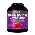 Mass Super Charger 4.5kg – Tesla