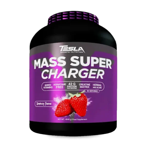Mass Super Charger 4.5kg – Tesla