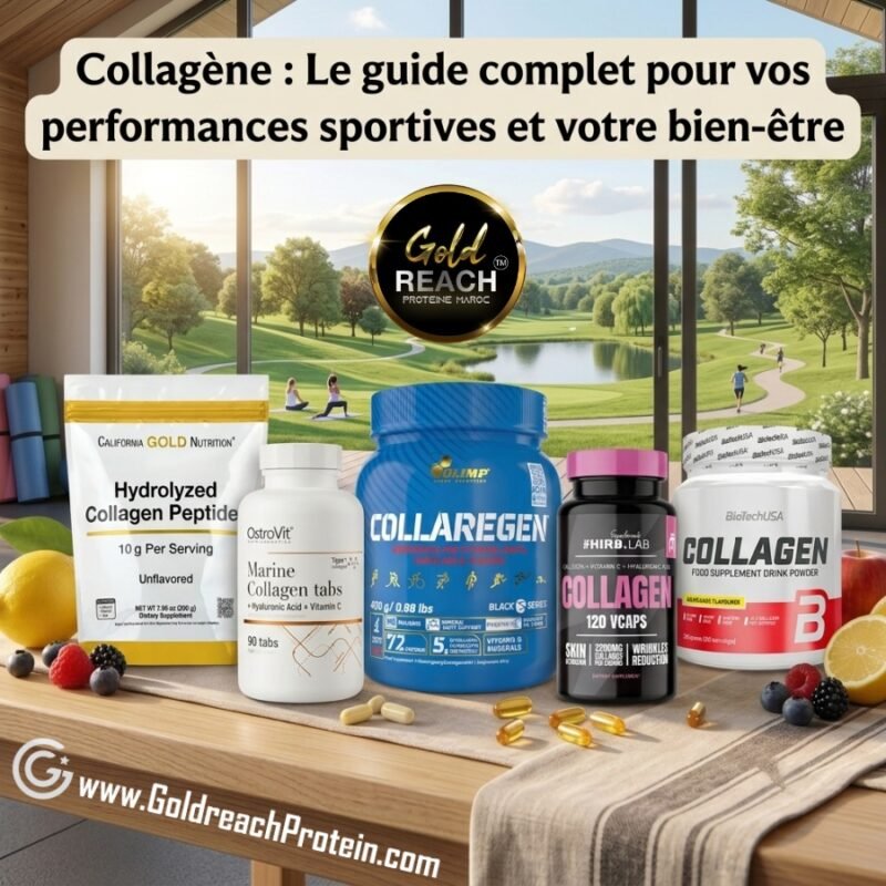 collagene le guide complet pour vos performances sportives et votre bien etre