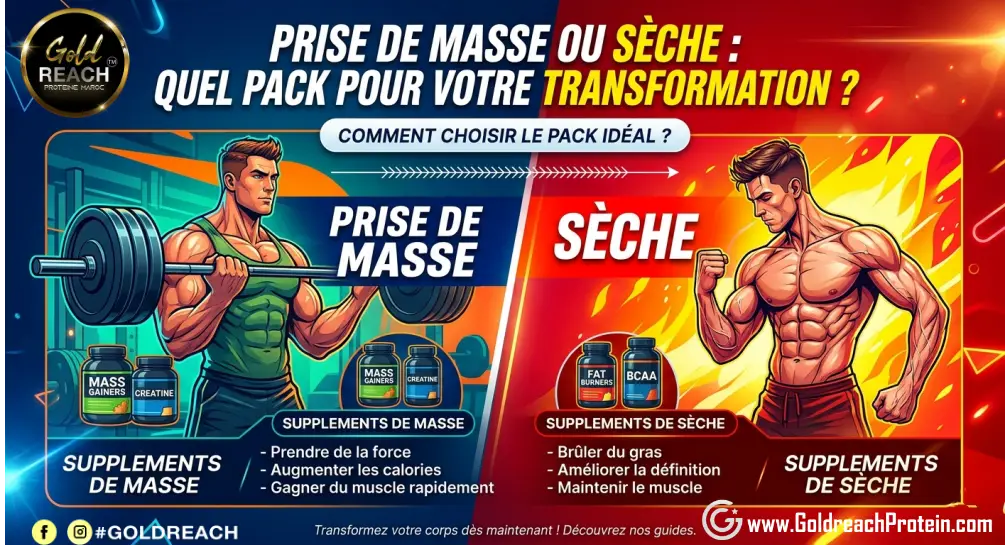 seche ou mass gaine
